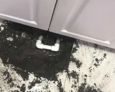 沾化查漏水哪家好